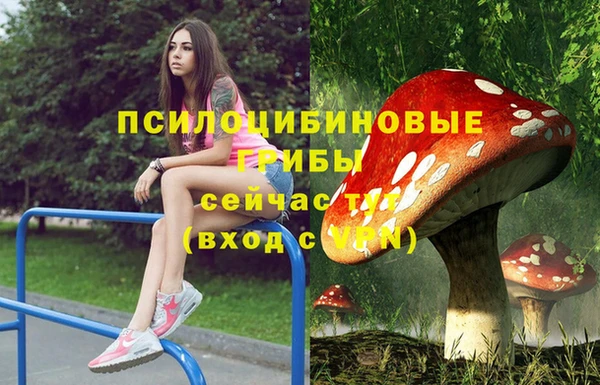 герыч Сатка