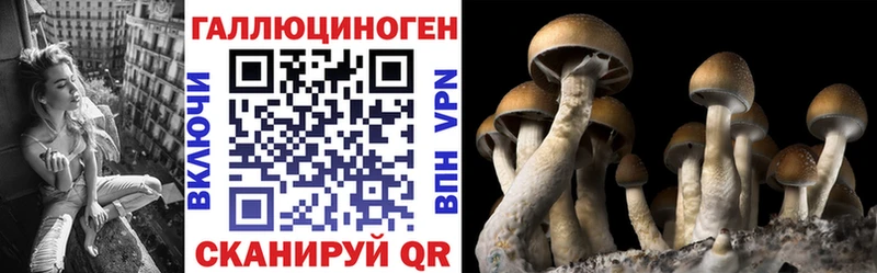 Псилоцибиновые грибы Cubensis  наркотики  shop состав  Макушино 